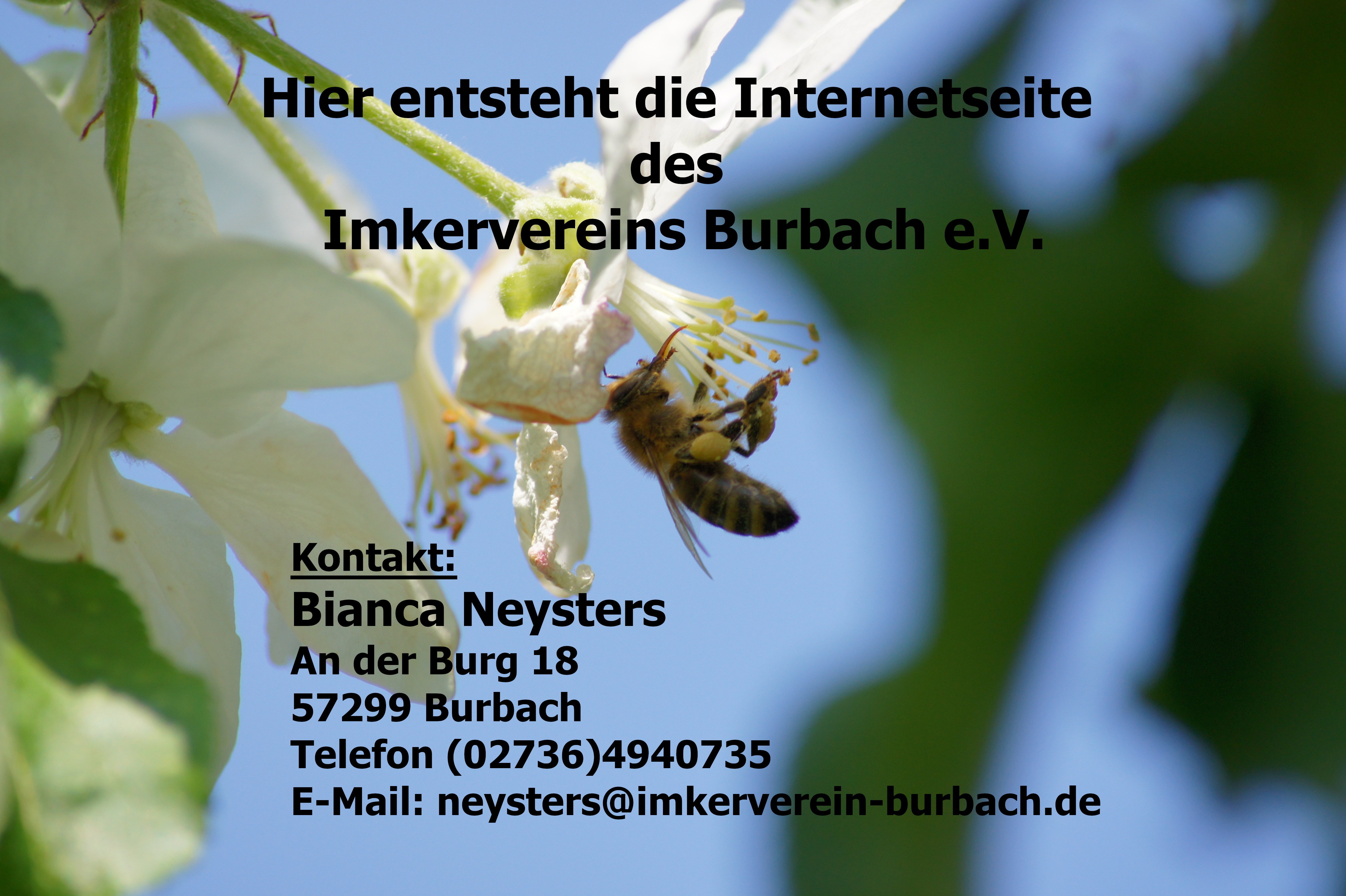 Imkerverein Burbach e.V.